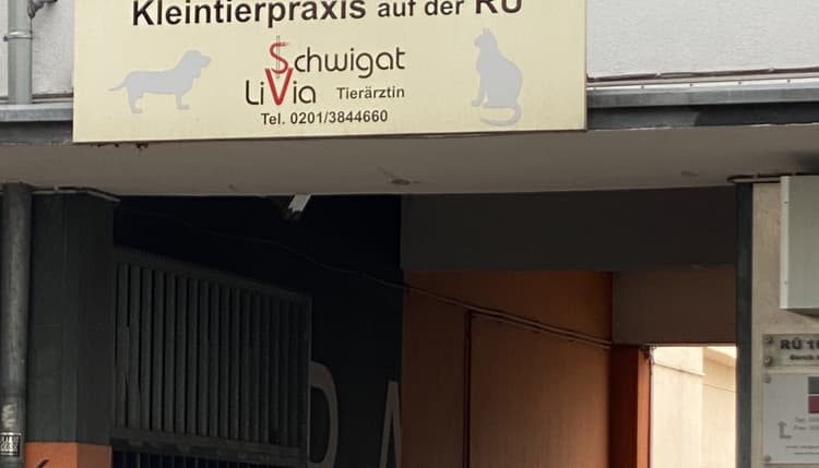 Preview of Kleintierpraxis auf der RÜ - Tierärztin Livia Schwigat