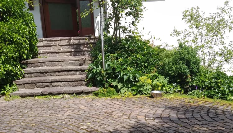 Vorschau von Dr.med.vet. Laura Starker Tierärztin