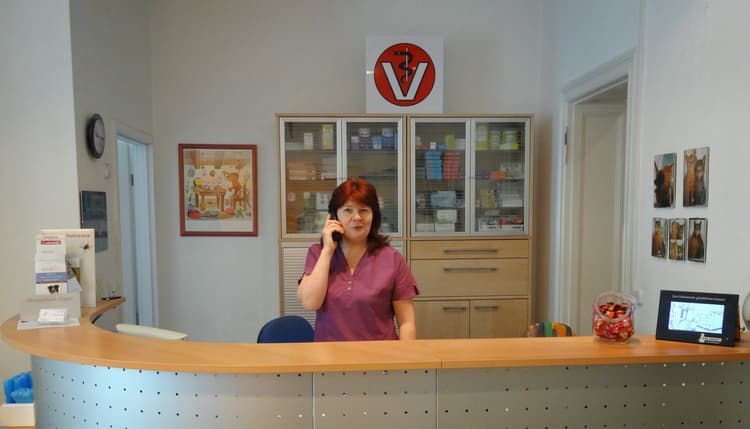 Vorschau von Tierarztpraxis Dr. Steffens