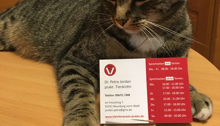 Vorschau von Tierarztpraxis Dr. Jordan Petra