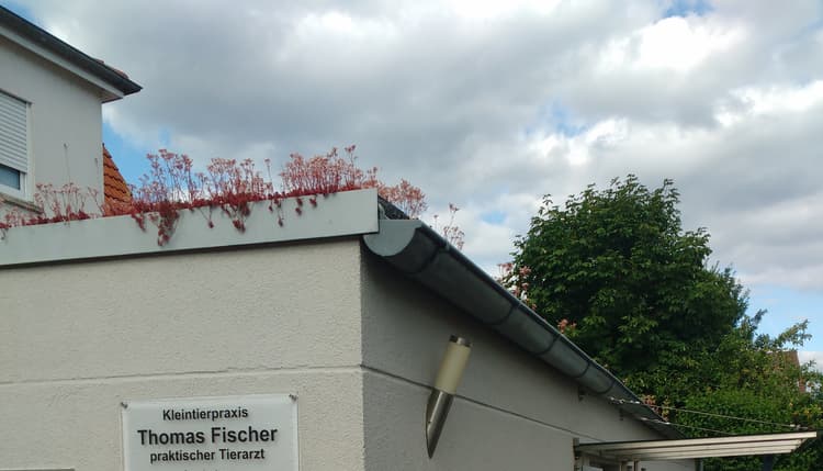 Vorschau von Kleintierpraxis Thomas Fischer