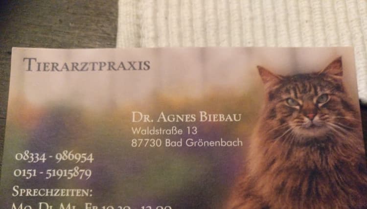 Vorschau von Dr. Biebau Agnes