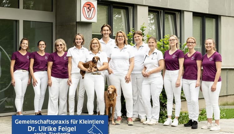 Vorschau von Tierärzte IVC Evidensia GmbH Tierärztezentrum Landshut