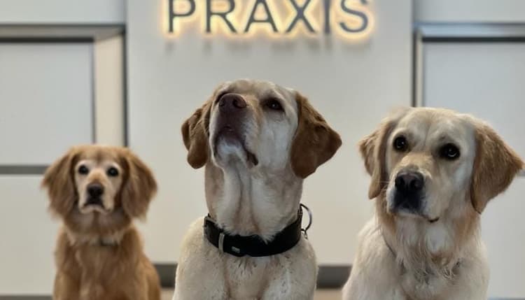 Vorschau von VETPraxis für Kleintiere GmbH