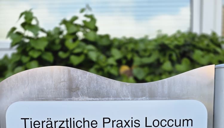 Vorschau von Tierärztliche Praxis Loccum, Jens Grothe