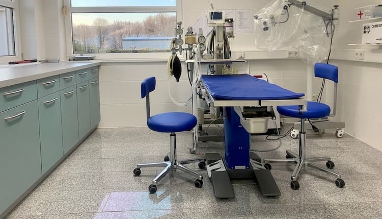 Preview of Tierklinik Zweibrücken - Dr. Liana Meisel-Gehl
