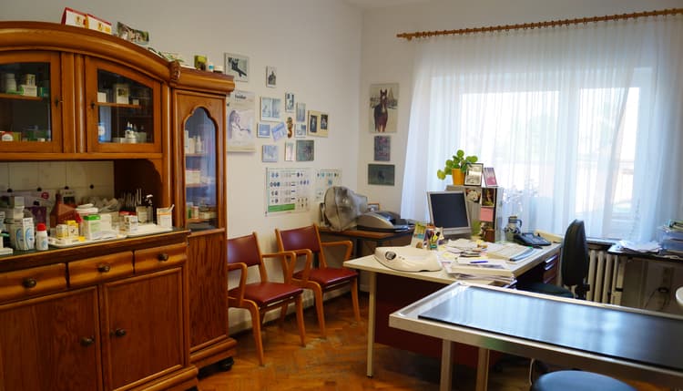 Preview of Dr. med. vet. Birgit Lier