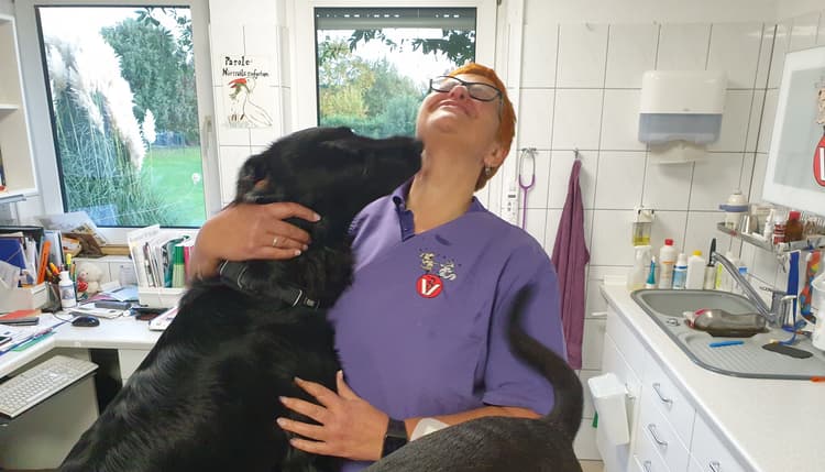 Vorschau von Tierarztpraxis Brentgens