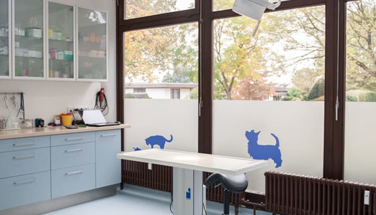 Vorschau von Kleintierpraxis Im Falkenstein GmbH