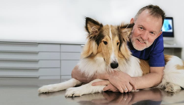 Vorschau von Praxis für Tierzahnheilkunde / Dr. med. vet. Helmut Rux