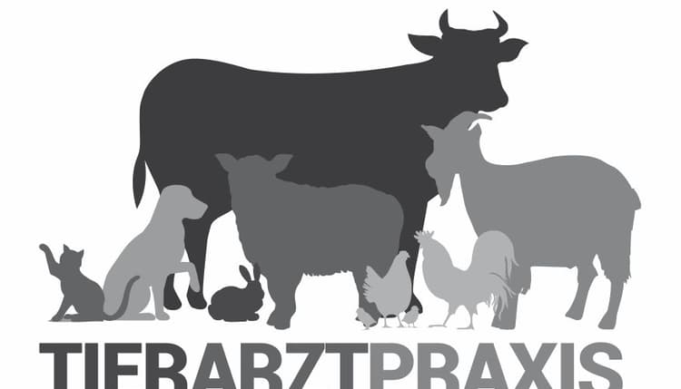 Vorschau von Tierarztpraxis Dörnthal